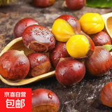 新鲜现摘大别山鲜板栗生鲜超市鲜板栗糖炒板栗即食零食 板栗 1斤