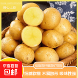 新鲜土豆现挖现河南正宗黄心当季土豆马铃薯洋芋薯条 黄心土豆中大果净重3斤