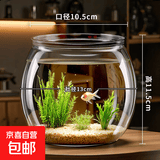 桌面鱼缸家用透明耐摔客厅办公室桌面金鱼水培绿植小型生态造景缸 中号  桌面生态鱼缸