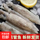 新鲜速冻笔管鱼 鲜嫩海捕海兔小管鱿鱼 连云港产地直发 野生海捕笔管鱼500g*2包2斤