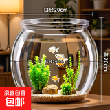 桌面鱼缸家用透明耐摔客厅办公室桌面金鱼水培绿植小型生态造景缸 大号  桌面生态鱼缸