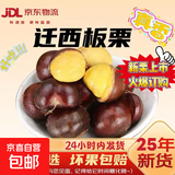 【超市品质】正宗迁西新鲜老树板栗源头直发新鲜蔬菜生鲜可生吃 迁西老树板栗 小果 3斤