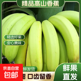 高山香蕉广西产地直发薄皮青果软糯香甜自然熟当季新鲜采摘纯天然 高山香蕉净重9斤