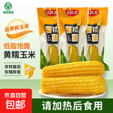 正宗新鲜东北黄糯玉米绿色食品真空包装加热即食减肥减脂代餐早餐 8根/箱