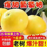 【彩箱礼盒】福建平和黄金葡萄柚子新鲜水果应季黄肉蜜柚甜西柚 【皮薄肉厚】4.5斤【5-9个】家庭分享装