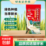 南方猫牙米新米软香长粒香大米煲仔饭炒饭一级清香米 优选猫牙米500g