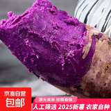 紫薯新鲜蔬菜根茎类生鲜 当季现挖湖北小紫薯 精品粗粮健康轻食 优选净重4.5斤装 单果1两+ 源头直采包邮