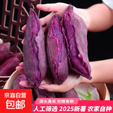 紫薯新鲜蔬菜根茎类生鲜 当季现挖湖北小紫薯 精品粗粮健康轻食 精品装带箱5斤装 单果1两+ 源头直采包邮