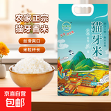 当季产地正宗优质猫牙米煲仔饭炒饭专用米新籼米长粒香软大米 猫牙米2.5KG