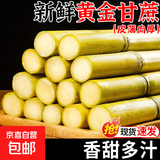 广西黄皮甘蔗水果黑皮甘蔗新鲜黄果蔗可榨汁煲汤削皮即食产地直发 【解馋】黄皮甘蔗2斤