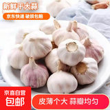 新鲜干蒜即食水果大蒜蔬菜小龙虾生蚝调料蒜 新鲜干蒜8斤含箱