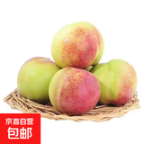 山东冬雪蜜桃 青州蜜桃毛桃 当季新鲜水果-山野 甄甄选山东果带箱5斤