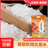 当季新米软香丝苗米晚稻籼米长粒香大米猫牙米煲仔饭米晚稻米 丝苗米2.5KG