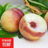 山东正宗青州蜜桃 毛桃当季新鲜水果-盛耀福 3斤