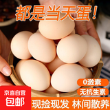 贵州红心谷物鲜鸡蛋 生鲜超市精选大蛋单枚50g起 减脂水煮蛋 高山贵州/【有机双色】红心蛋 【60粒双色蛋】/破蛋包赔50-55g