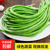 新鲜现摘长豆角豇豆时令新鲜夏季蔬菜豆角子腌制酸豆角早餐开胃 产地直发【当天采摘】 箱装【净重4.8-5.2斤】