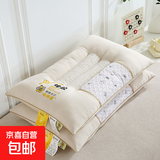决明子荞麦枕头护颈椎枕助睡眠专用成人枕芯家用一对男侧睡低整头 决明子润肤磁石高枕-浅米色-一对