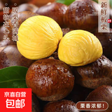 【真便宜】新鲜板栗水果鲜板栗早餐生鲜蔬菜直播间超市京东包邮 板栗  精选大果 9斤