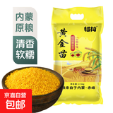 黄小米 油小米 五谷杂粮小米粥大米伴侣五谷杂粮 黄小米5斤