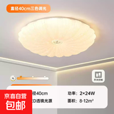 led吸顶灯24年新款贝壳家用卧室简约现代过道客厅灯餐厅阳台灯具 【新款贝壳】40cm-48W-三色光