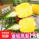 正宗海南金钻凤梨新鲜水果当季树上熟芒果凤梨【催熟食用】 中果1.3-1.7斤3-4个净重4.5斤
