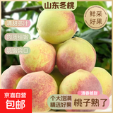 正宗山东新鲜冬桃脆甜桃子现摘毛桃脆桃脆甜多汁孕妇水果-骐鲜园 冬桃 带箱9斤