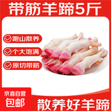 新鲜羊蹄子黑花冷冻山羊蹄带筋羊蹄散养绵羊脚整箱批发羊蹄子 5斤羊蹄子【12-15个/白蹄、花蹄随机发货】