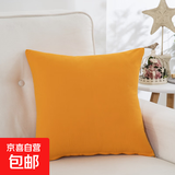 抱枕套不含芯 超柔超密丽丝绒纯色办公室汽车床头腰靠可拆洗抱枕 橙色 36cm*36cm 枕套 （不含枕芯）