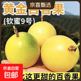 黄金百香果钦蜜9号大果孕妇新鲜当季鲜果妃多多 钦密9号百香果35-45g 5粒装 爆甜【产地直发】越皱越甜