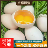 【双黄土鸡蛋】农家散养现捡鲜鸡蛋大个黄心双倍营养早餐生鲜京东 15枚-双黄蛋【73-83g/枚】