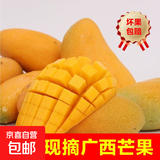新鲜四季芒果当季特产水果  轻微花皮半熟果发货 台芒9斤单果100克以上