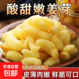 新鲜嫩姜芽生姜腌制醋泡白仔姜酱泡菜酱腌菜下饭菜姜腌菜榨菜批发 嫩姜芽250g*1袋