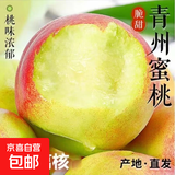 青州古树蜜桃新鲜桃子采摘送货上门-万果 带箱5斤装（中果60g起）