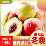 青州蜜桃冬桃脆甜桃子新鲜冬雪蜜桃水果青毛桃水蜜桃山东毛桃沐真 带箱2斤
