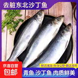 京喜加生鲜海鲜 青鱼 东北沙丁鱼 鲜活冷冻鱼类食材 4斤 去脏青鱼【200-300g/条】