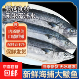 京喜加青岛海捕鲅鱼整条大鲅鱼马鲛鱼6/8两新鲜冷冻海鲜水产 无冰鲅鱼6~8两2kg 【6~8条】