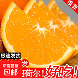 高山纽荷尔脐橙新鲜橙子应季自种农家新鲜采摘60-65mmjy 纽荷尔橙-带箱1斤【60-65mm】