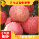 正宗山东烟台红富士苹果新鲜水果当季栖霞脆甜冰糖心红富士苹果 带箱2斤