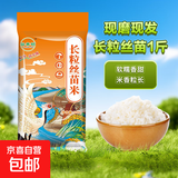 当季新米软香丝苗米晚稻籼米长粒香大米猫牙米煲仔饭丝苗米 长粒丝苗米5KG