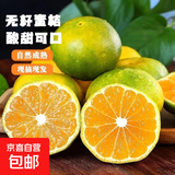 兀果语2025年云南密桔酸桔子当季薄皮橘子孕妇新鲜水果爆汁无核青 10斤