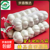 山东金乡蒜大蒜出口标准精选大蒜头蔬菜调料单果5cm 出口标准网兜3头 90g 5-5.5cm特大