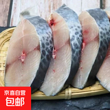 鲅鱼段马鲛鱼块鲐鲅鱼块鲅鱼肉馅鲅鱼水饺鲅鱼新鲜鲜活海鲜批发 精品鲅鱼4/6两切段【一斤装】