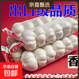 大蒜头出口品质网兜紫蒜蔬菜调料新鲜大果烧烤火锅食材 【精品网兜装】1斤装 450g