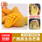 【花皮介意慎拍】正宗新鲜芒果软糯香甜现摘时令水果半熟发货 2个装【单果50-70g】