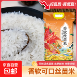 当季新米软香丝苗米晚稻籼米长粒香大米猫牙米煲仔饭米晚稻米 丝苗米5KG