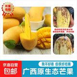 广西芒果应季芒果产地直发半黄微花皮发货（全国多仓发货） 带箱2斤装【单果60g+】
