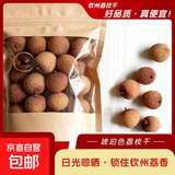 广西特产大荔枝干包邮干荔枝特大果农家核小肉厚荔枝单果径20以上 荔枝干【妃子笑】50g袋装