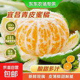 【东东农场专供】宜昌蜜桔新鲜青皮蜜橘酸酸甜甜介意勿拍新鲜采摘 蜜桔净重5斤装