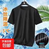 夏季冰丝短袖T恤男透气速干衣冰感大码运动沙滩速干上衣网眼TSJ 黑色 2XL