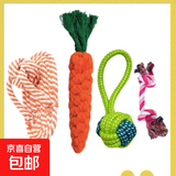 狗狗磨牙耐咬咀嚼玩具小中型犬狗玩具互动训练发声套装宠物用品 拖鞋+胡萝卜+单耳球+解闷绳结 随机颜色